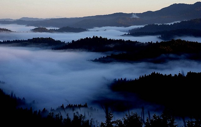 Mendocino Morning Fog 2-2005.06.12-20.05.40