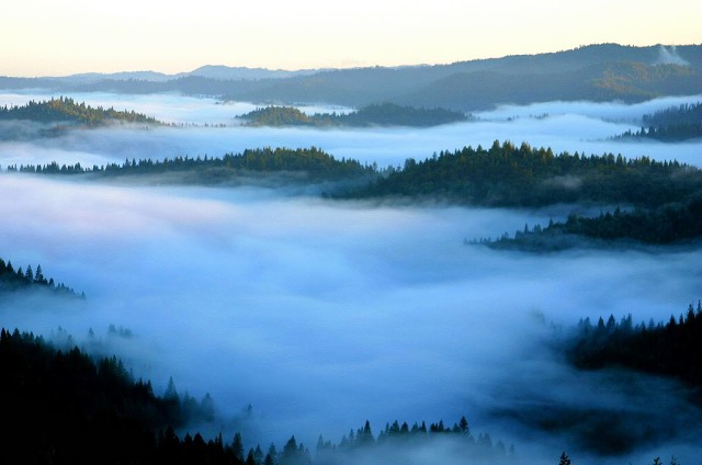 Mendocino%2520Morning%2520Fog-2005.06.12-20.02.58