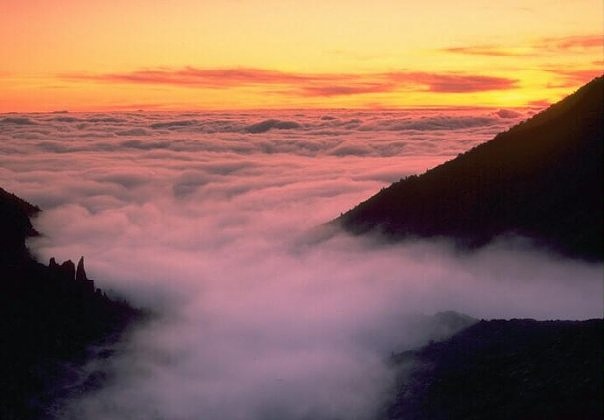 Fog